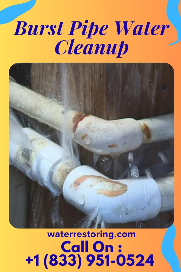 Burst Pipe Water Cleanup in Cayuga Heights, NY