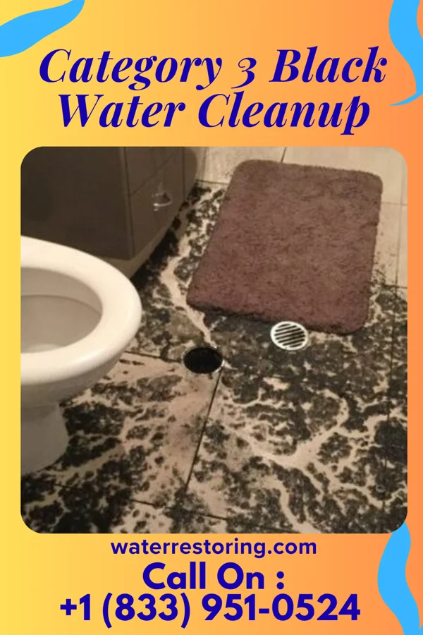Category 3 Black Water Cleanup in Cayuga Heights, NY