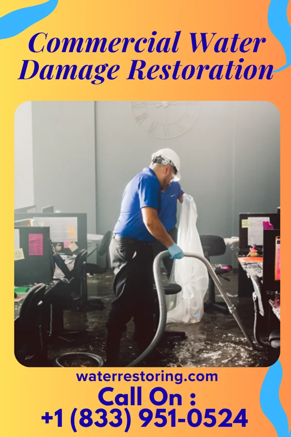 Commercial Water Damage Restoration in Cayuga Heights, NY