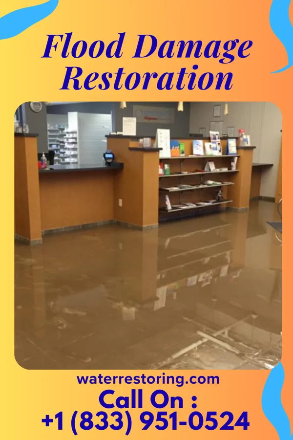 Flood Damage Restoration in Cayuga Heights, NY