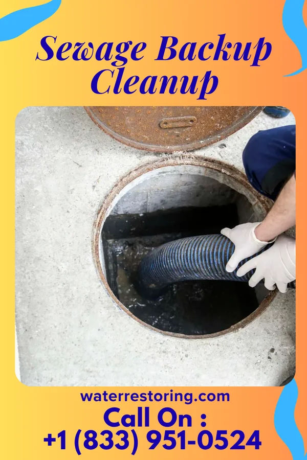 Sewage Backup Cleanup in Cayuga Heights, NY