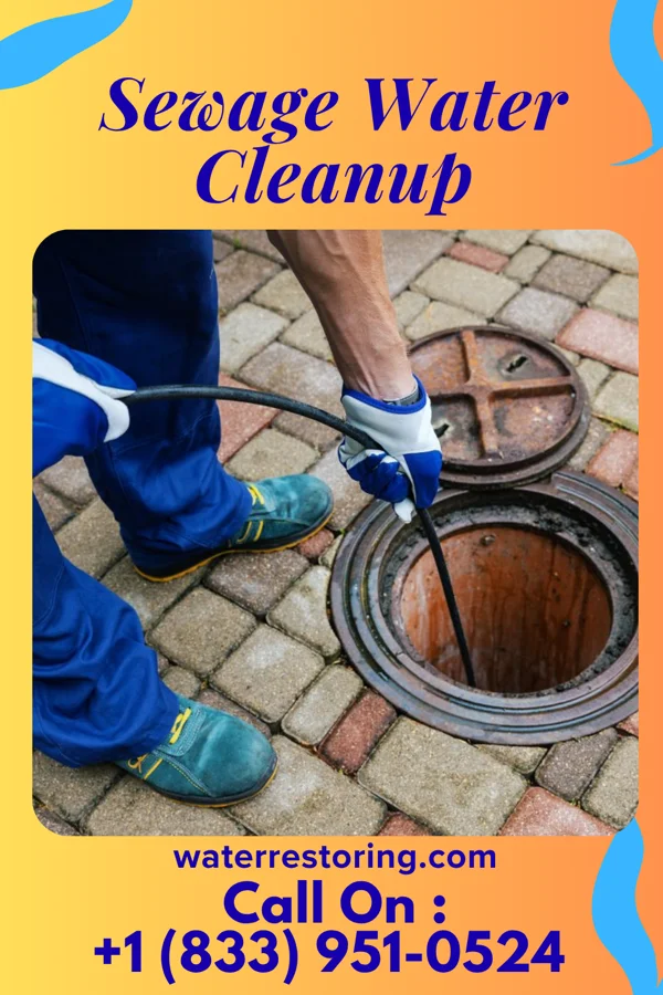 Sewage Water Cleanup in Cayuga Heights, NY